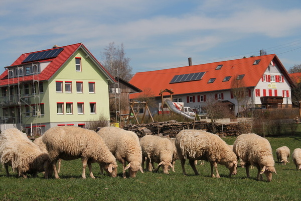 Ferienhof Hirschfeld Ferienhof Hirschfeld