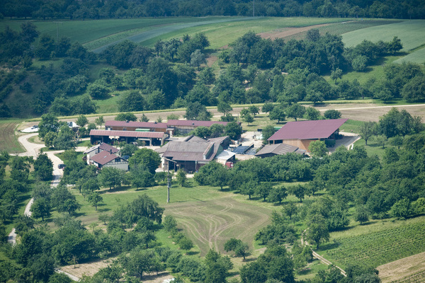 Haldenhof