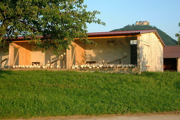 Haldenhof