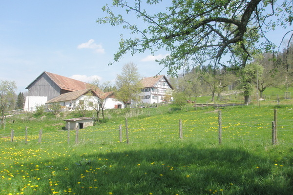 Stofflerhof Stofflerhof