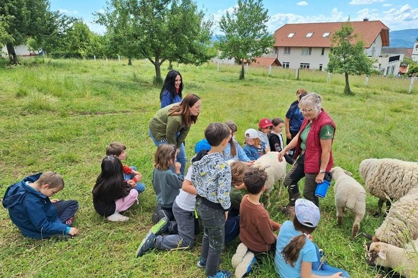 Behringer Hof Behringer Hof