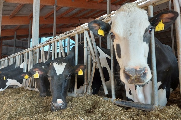 Länge Agrar-Milch GbR Länge Agrar-Milch GbR