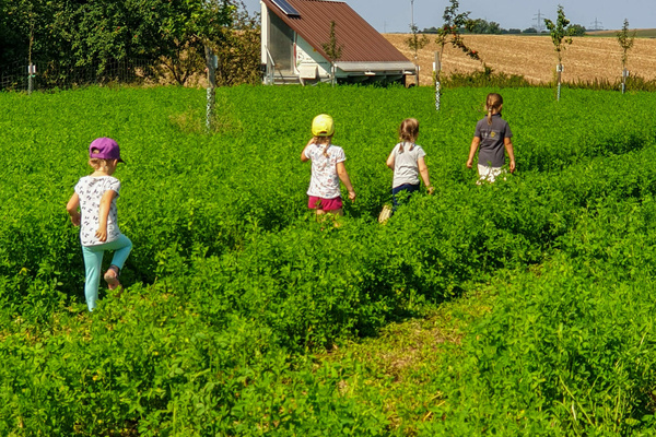 Landwirtschaft Michael Haußecker Landwirtschaft Michael Haußecker