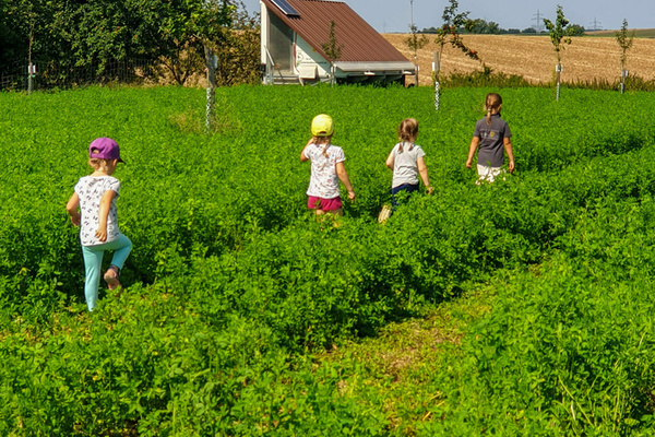 Landwirtschaft Hau�ecker